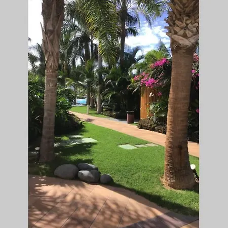Apartamento Frente Al Mar! Playa de las Americas (Tenerife)